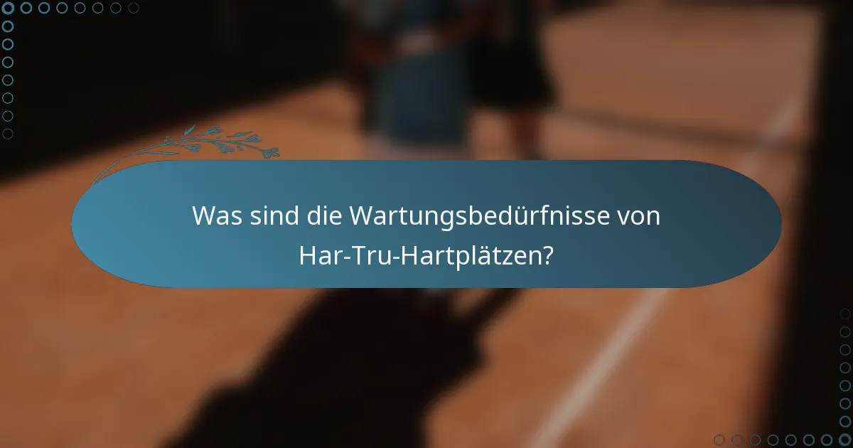 Was sind die Wartungsbedürfnisse von Har-Tru-Hartplätzen?