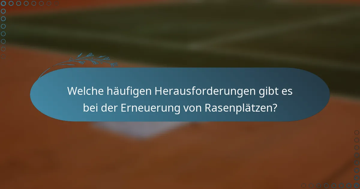 Welche häufigen Herausforderungen gibt es bei der Erneuerung von Rasenplätzen?